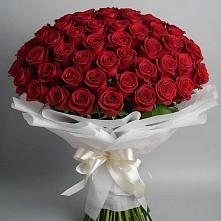 Букет 101 Красная роза Блэк Мэджик в Мокрое