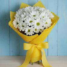 Букет цветов из:  Хризантемы в Мокрое