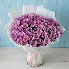Букет цветов из:  Хризантемы в Мокрое