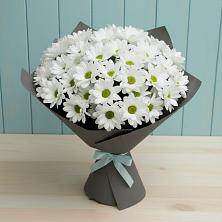Букет цветов из:  Хризантемы в Мокрое