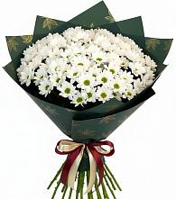 Букет цветов из:  Хризантемы в Мокрое